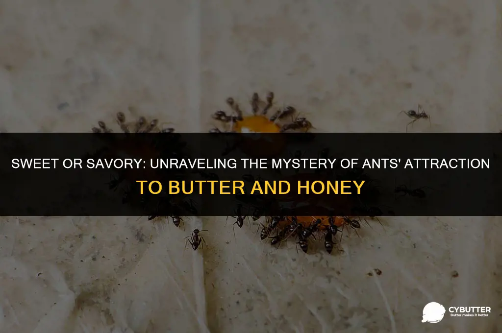 are ants attracted to butter or honey