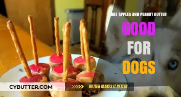 Apples and Peanut Butter: Safe and Healthy Dog Treats?