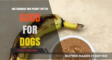 Bananas and Peanut Butter: Safe and Healthy Dog Treats?