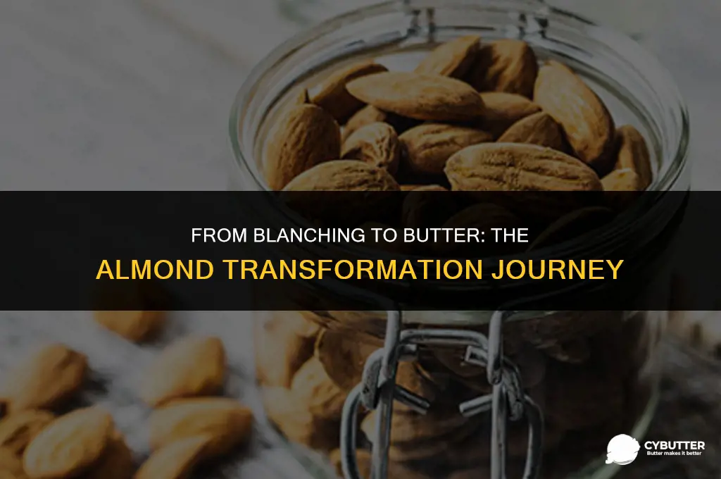 are blanched almonds used to make butter