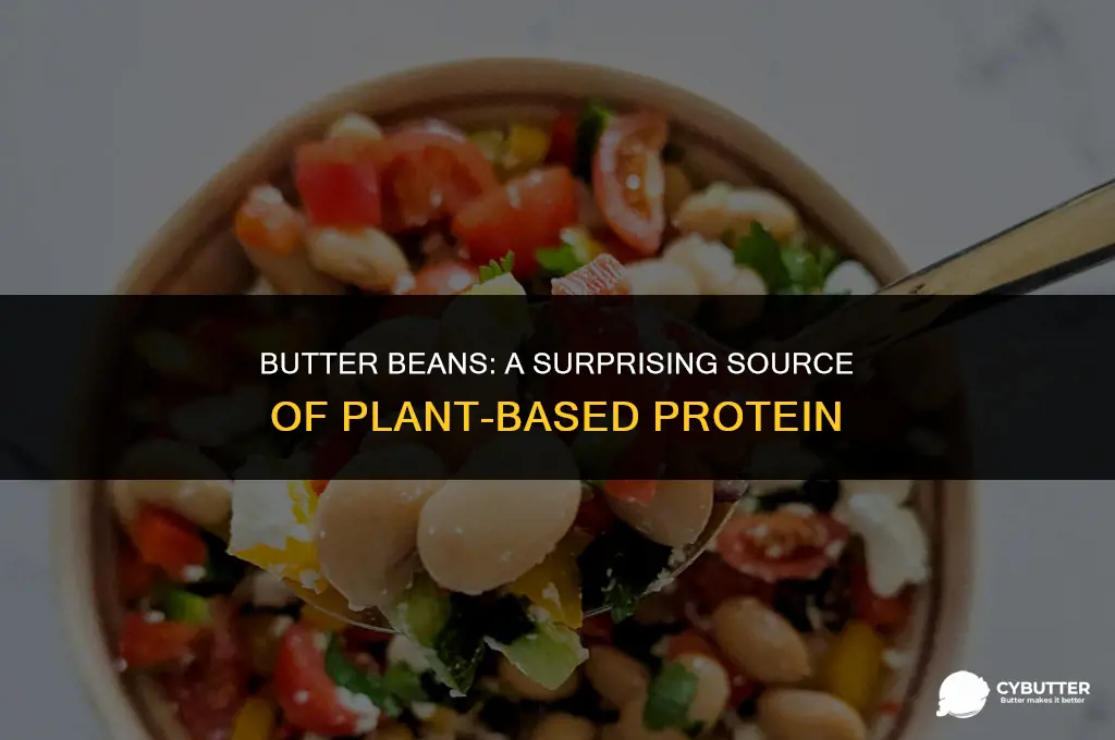 are butter beans a source of protein