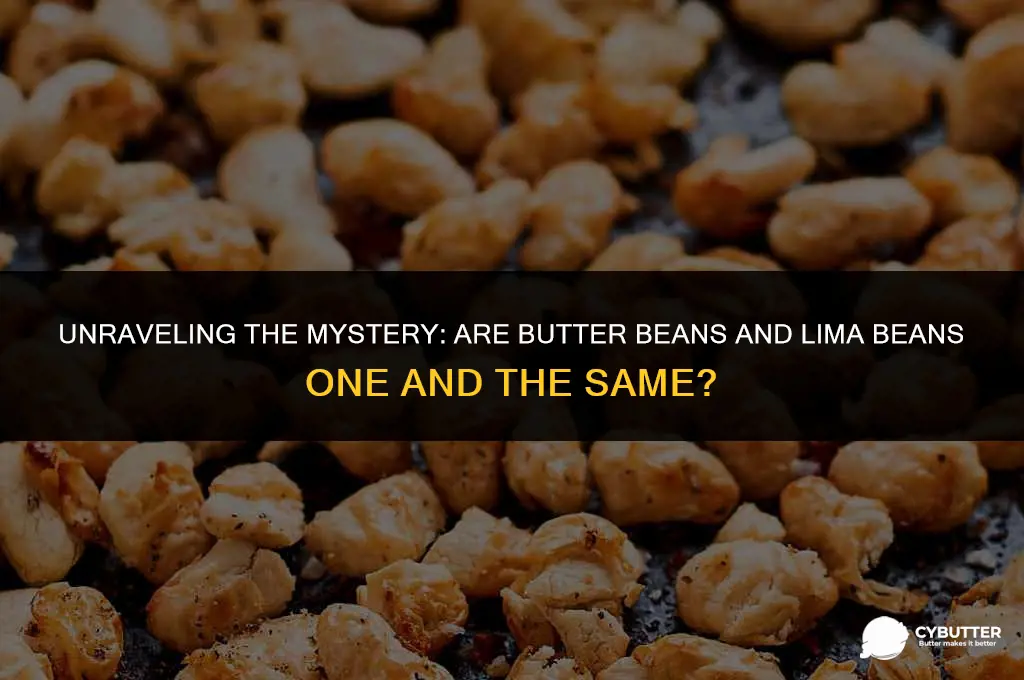 are butter beans made from lima beans