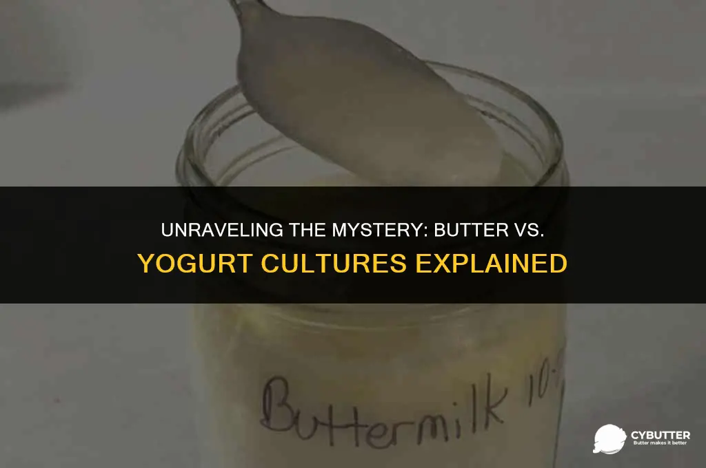 are butter cultures different than yogurt cultures