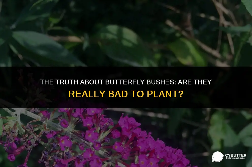 are butter fly bushes bad to plant