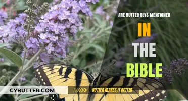 Delicate Wings and Sacred Texts: Exploring Butterflies in the Bible