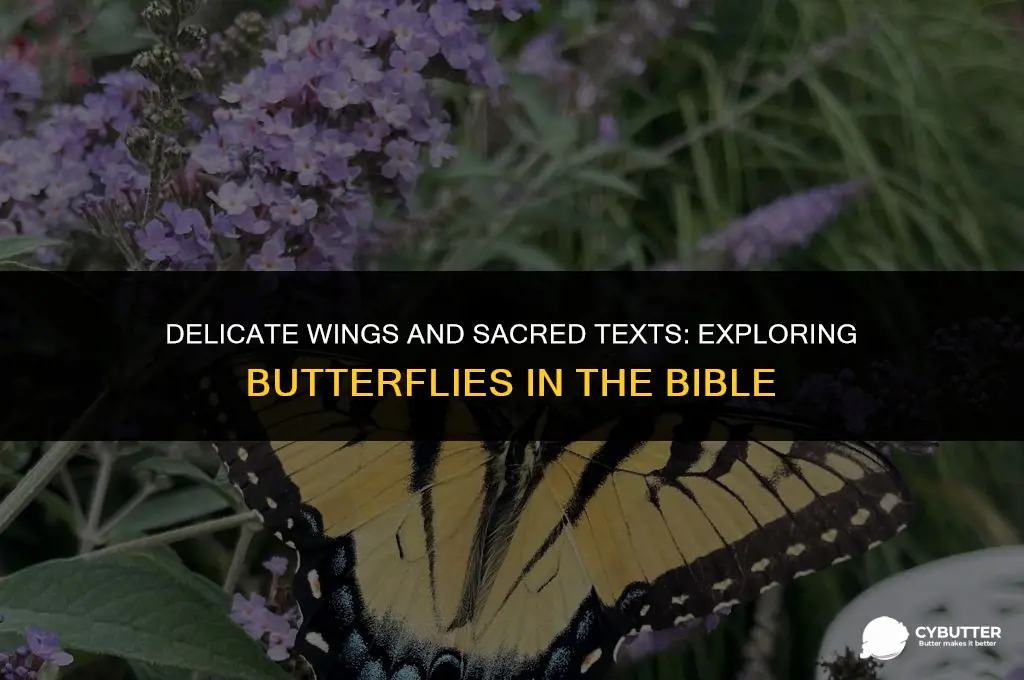 are butter flys mentioned in the bible