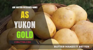 Yukon Gold vs. Butter Potatoes: Unraveling the Delicious Confusion