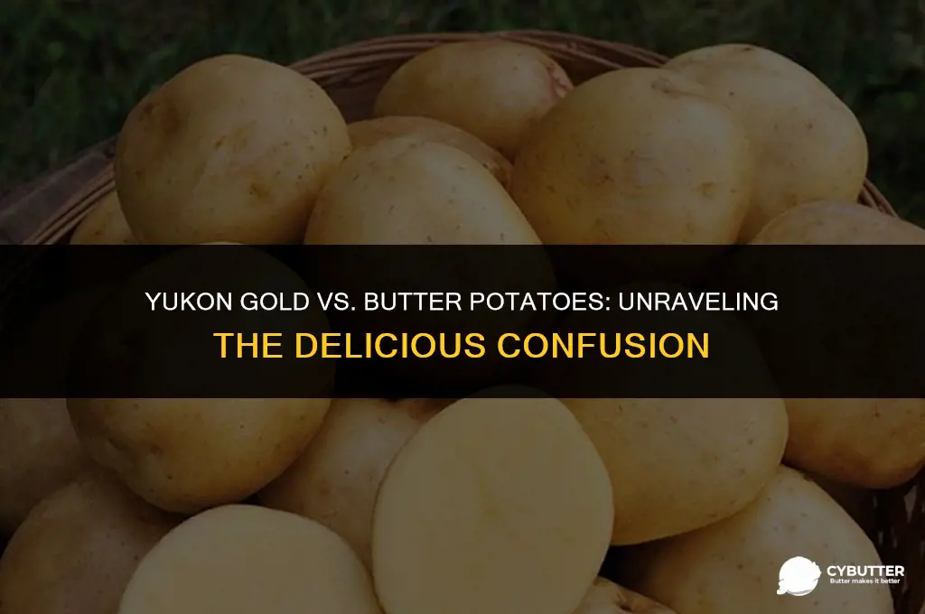 are butter potatoes same as yukon gold