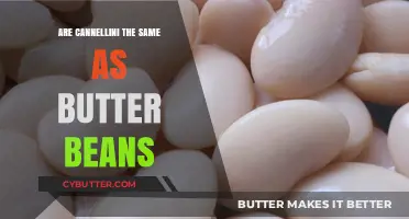 Decoding Legume Confusion: Cannellini vs Butter Beans Explained