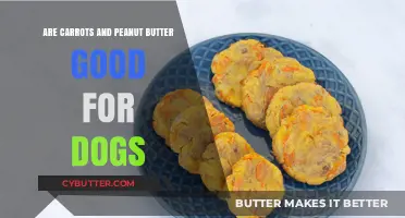 Can Dogs Eat Carrots and Peanut Butter? A Healthy Snack Guide