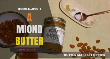 Can Cats Enjoy Almond Butter? A Feline Allergy Guide