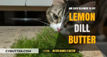 Feline Feast or Faux Pas? Lemon Dill Butter for Cats