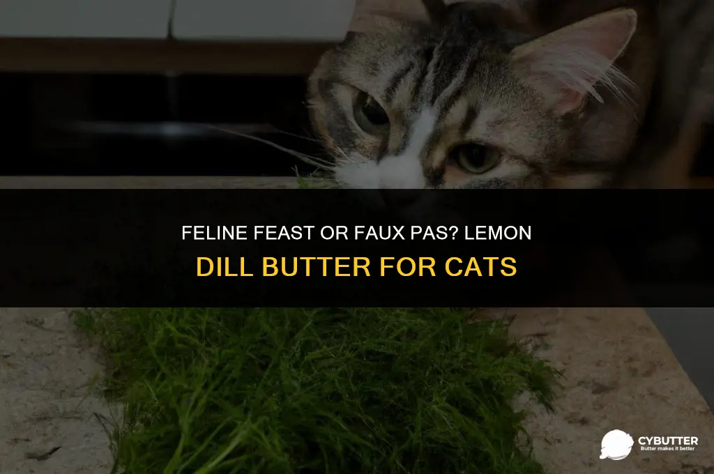 are cats allowed to eat lemon dill butter