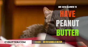 Can Cats Enjoy Peanut Butter? A Feline Diet Guide