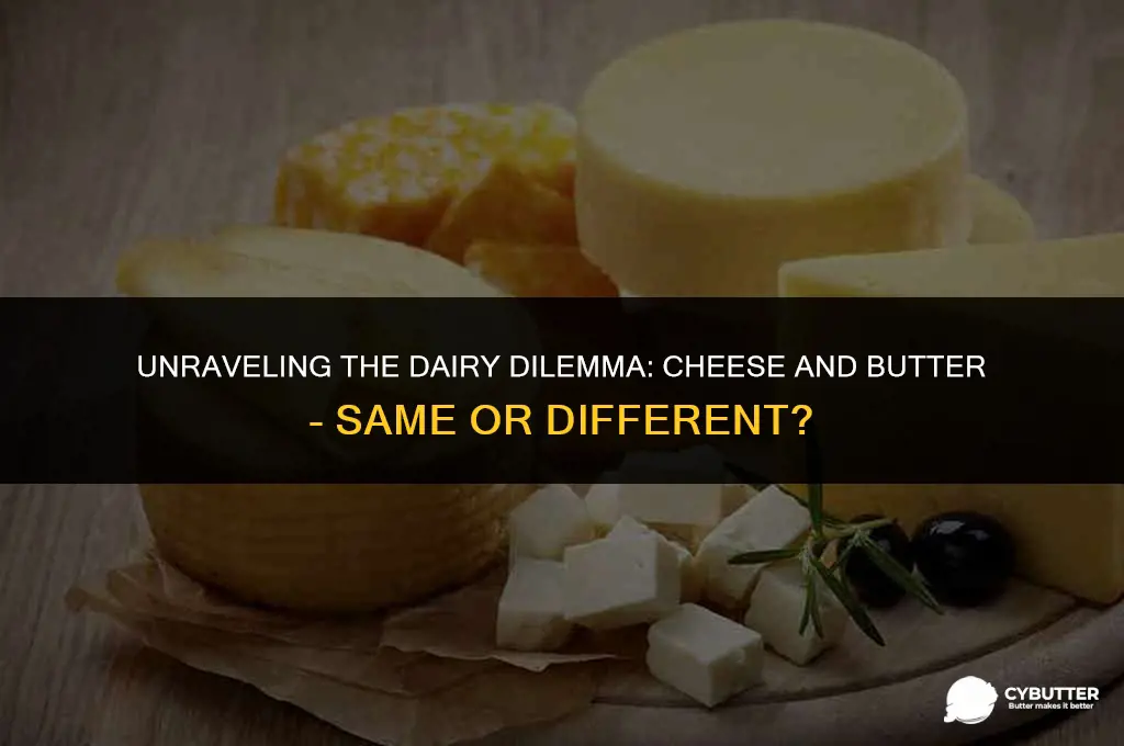 are cheese and butter the same thing