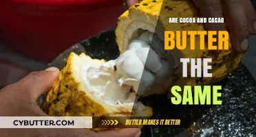 Unveiling the Truth: Cocoa vs. Cacao Butter - What's the Difference?
