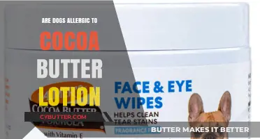 Can Dogs Safely Enjoy Cocoa Butter Lotion? A Pet Owner's Guide