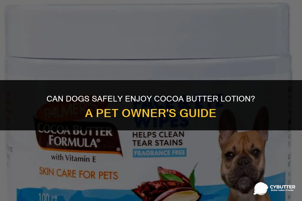 are dogs allergic to cocoa butter lotion