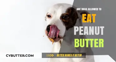 Can Dogs Enjoy Peanut Butter? A Comprehensive Guide for Pet Owners