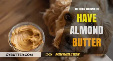 Can Dogs Enjoy Almond Butter? A Nutty Debate