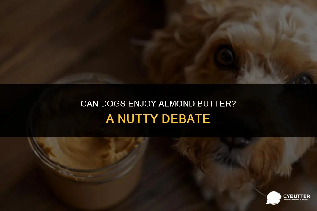 are dogs allowed to have almond butter