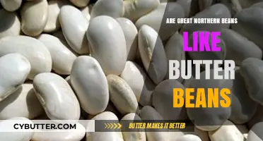 Exploring the Delicious Similarities: Great Northern vs Butter Beans
