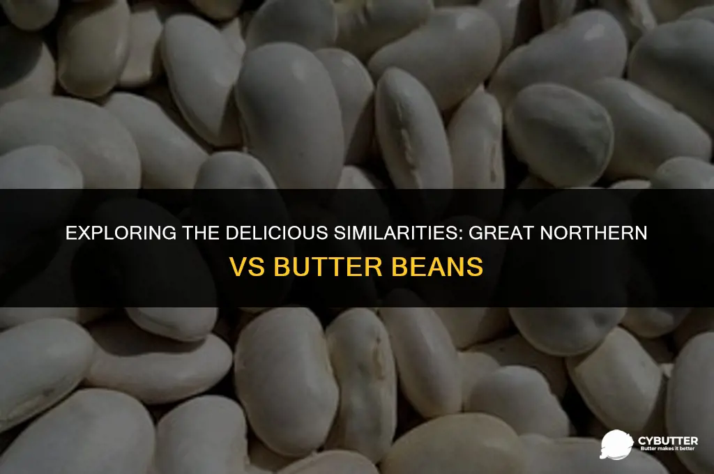 are great northern beans like butter beans