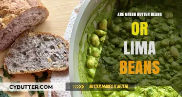 Unraveling the Mystery: Green Butter Beans vs. Lima Beans
