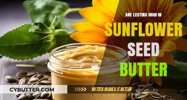 Sunflower Seed Butter: A Lectin-Rich Choice or Not?