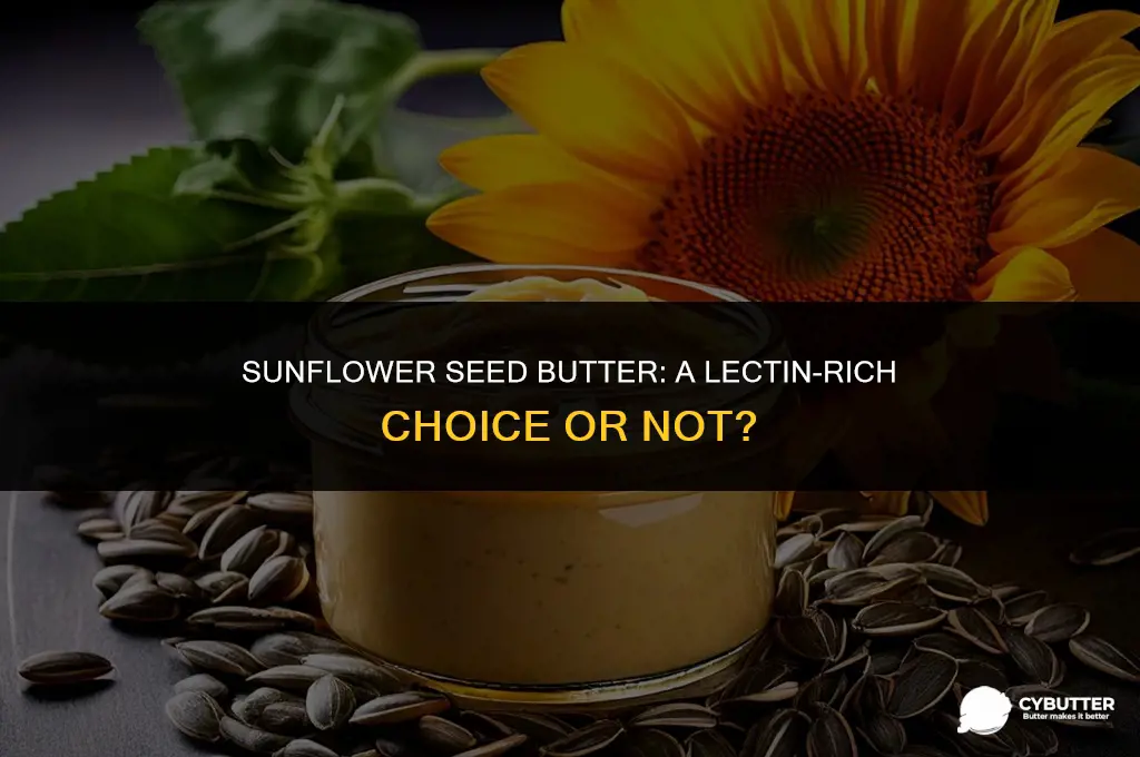 are lectins high in sunflower seed butter