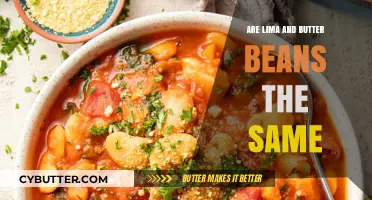 Unraveling the Mystery: Are Lima and Butter Beans Truly Identical?