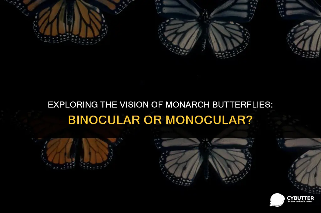 are monarch butter flies bionocular or monocular