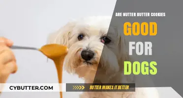 Can Dogs Eat Nutter Butter Cookies? A Safety Guide