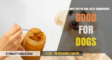 Can Dogs Eat Peanut Butter and Jelly Sandwiches? Vet Advice