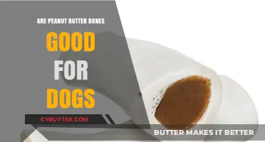 Peanut Butter Dog Bones: Healthy Treat or Hidden Danger?
