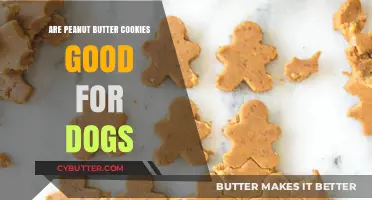 Can Dogs Eat Peanut Butter Cookies? A Safe Treat Guide
