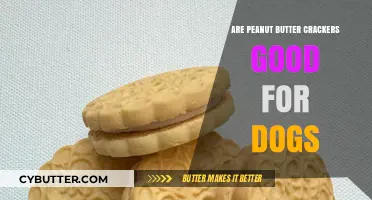 Can Dogs Eat Peanut Butter Crackers? A Healthy Snack Guide