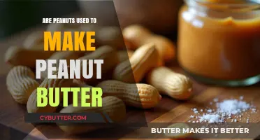 From Peanuts to Peanut Butter: The Journey of a Nutty Delight
