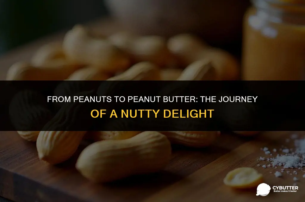 are peanuts used to make peanut butter