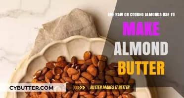 From Tree to Table: The Journey of Almonds in Almond Butter