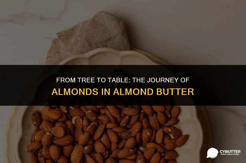 are raw or cooked almonds use to make almond butter