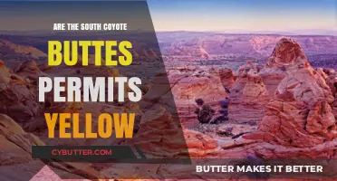 Exploring the South Coyote Buttes: Are the Permits Yellow?
