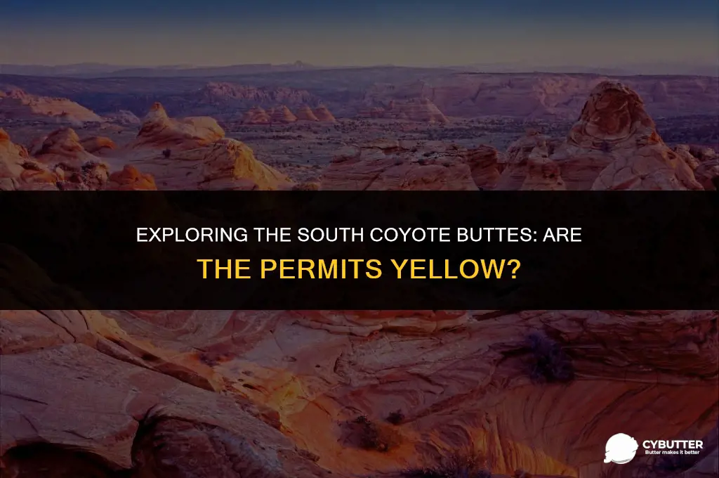 are the south coyote buttes permits yellow