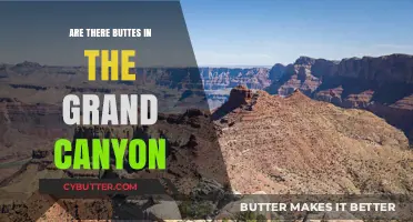 Exploring the Grand Canyon: A Guide to Its Unique Buttes