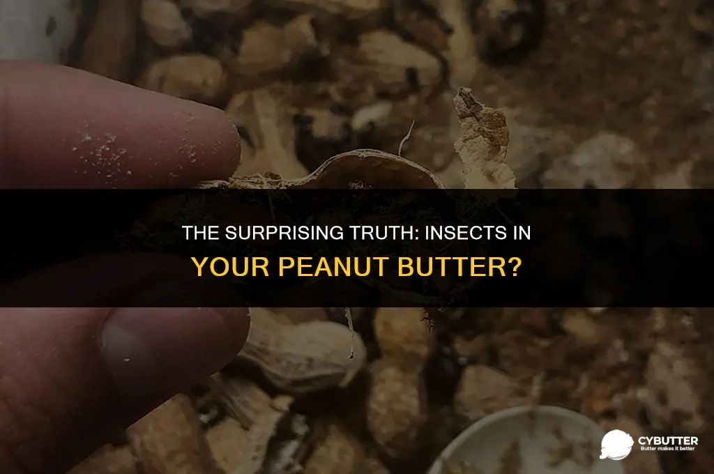 are there insects in peanut butter