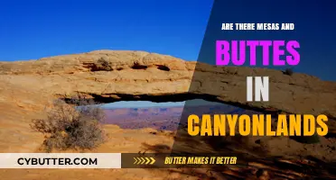 Exploring Canyonlands: The Majestic Mesas and Buttes Unveiled