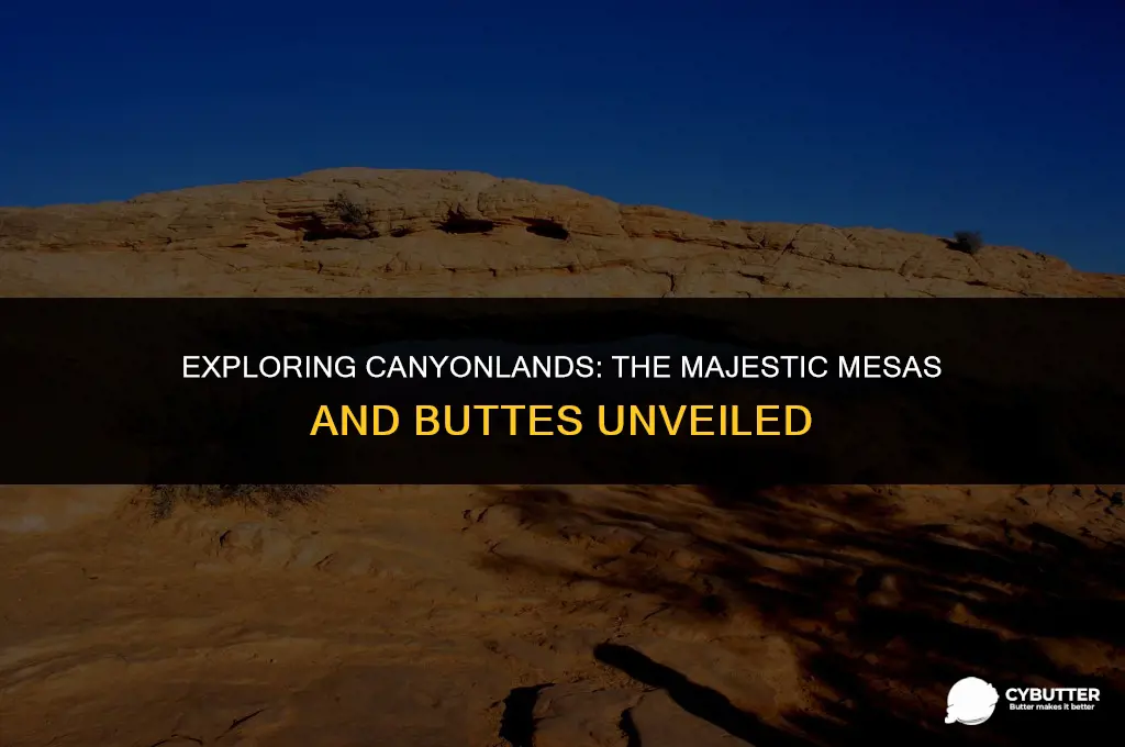 are there mesas and buttes in canyonlands