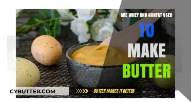 Exploring Dairy Alternatives: How Whey and Nonfat Ingredients Shape Modern Butter Production