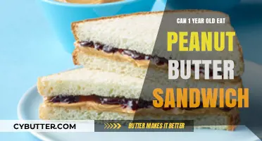 Peanut Butter Sandwiches for Toddlers: A Nutritious and Delicious Option?