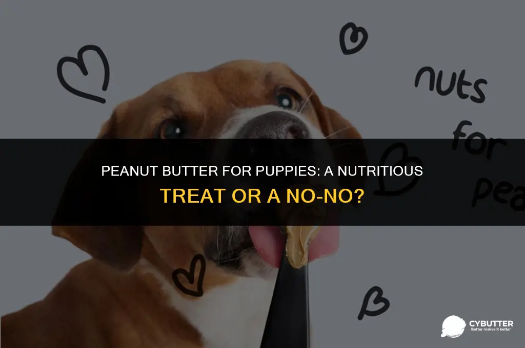can 2 month old puppies eat peanut butter